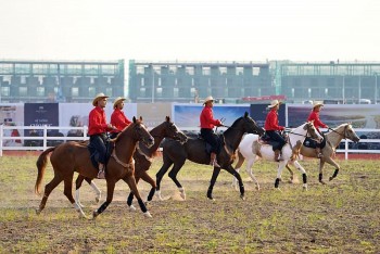 nhung manh ghep 5 sao tao nen su dat gia cho kiet tac golf land