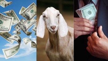 top 3 con giap nhan loc troi ban nua cuoi thang 7 tien tai doi vao nhu nuoc