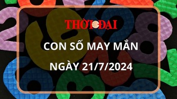 con so may man hom nay 2172024 12 con giap mao tien vao day tui