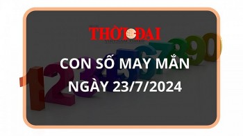 con so may man hom nay 2372024 12 con giap mui cat tinh soi duong loc la tran ve