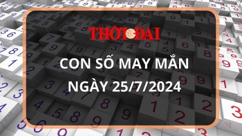 con so may man hom nay 2572024 12 con giap mui co thanh tai