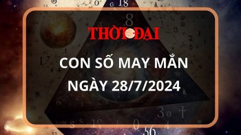 con so may man hom nay 2872024 12 con giap tuat tien do gia tang dang ke