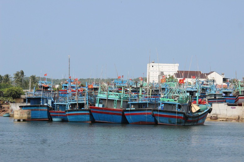 Bình Định: Tàu cá không lắp thiết bị giám sát hành trình sẽ bị thu hồi