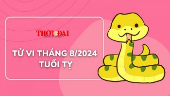 tu vi tuoi ty thang 82024 su nghiep cai thien tien bac thang the di len