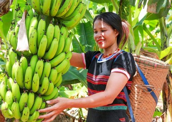 phu nu pa ko o ta rut cai thien sinh ke nho cay chuoi lun