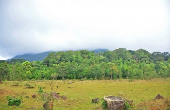 crs ho tro quang tri nang cao kha nang chong chiu bien doi khi hau