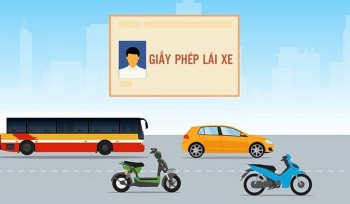 tu 112025 giay phep lai xe vo hieu luc trong nhung truong hop nao