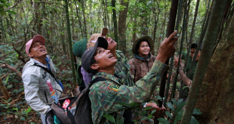 wwf ho tro tinh quang tri day manh chuoi cung ung may ben vung