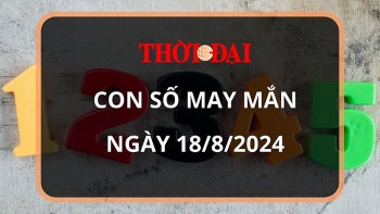 con so may man hom nay 1882024 12 con giap ty tien do gia tang nhanh chong