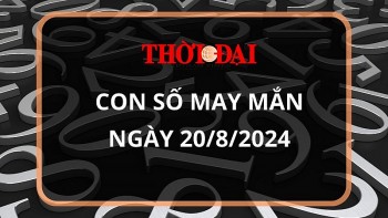 con so may man hom nay 2082024 12 con giap dan tien bac danh vong doi ve