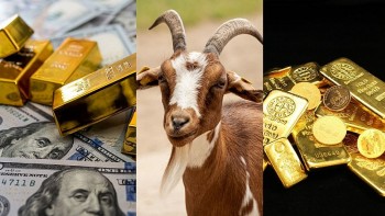 top con giap may man hom nay 1982024 tuoi mui tiep tuc duoc xuong ten