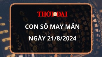 con so may man hom nay 2182024 12 con giap tuat thuan loi tram be