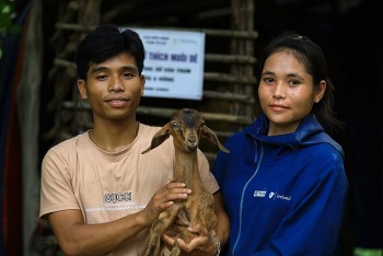 quang tri cai thien sinh ke cho ho ngheo nho mo hinh chan nuoi de