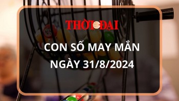 Con số may mắn hôm nay 31/8/2024 12 con giáp: Tuất cát tinh soi đường làm gì cũng thành công