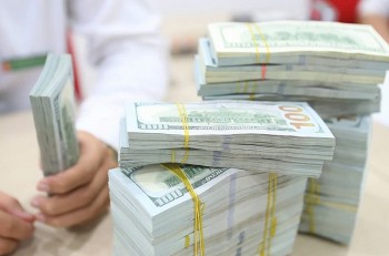 gia usd ngan hang quay dau giam sau phien dau tuan