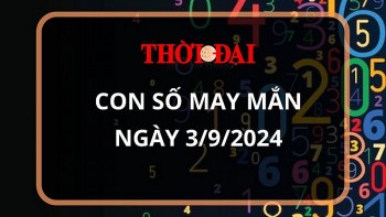 Con số may mắn hôm nay 3/9/2024 12 con giáp: Dần tài tinh dẫn đường, buôn bán vô cùng thuận lợi