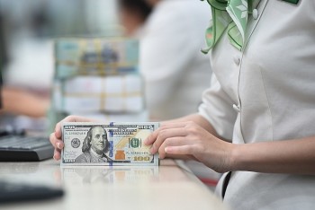 ty gia dot ngot giam sau duoi moc 25000 vndusd