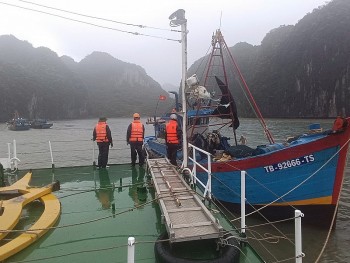 vung 3 hai quan kip thoi cuu nan ngu dan trong con bao so 3