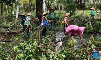 Biện pháp giúp đảo Hải Nam (Trung Quốc) giảm thiệt hại do siêu bão Yagi