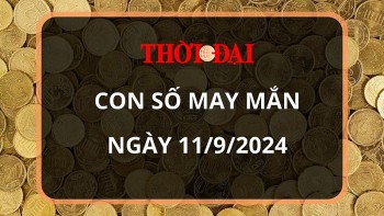 Con số may mắn hôm nay 11/9/2024 12 con giáp: Tuất tiền bạc ập đến bất ngờ