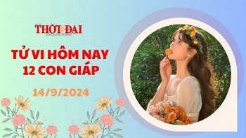 tu vi hom nay 12 con giap 1492024 cat than che cho cho van trinh tai loc cua tuoi ngo