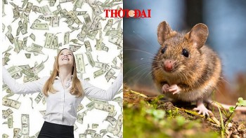 con giap may man hom nay 1392024 top 4 con giap tien day tui tinh day tim