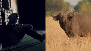 top con giap xui xeo hom nay 1292024 suu dan gap nhieu xao tron