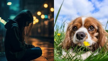 top con giap xui xeo hom nay 1592024 tuat de gay ton thuong cho nguoi khac