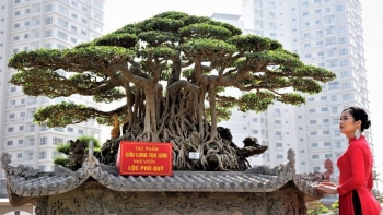 lan dau tien se co festival sinh vat canh ha noi vao thang 92024