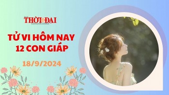 tu vi hom nay 12 con giap 1892024 mui gap truc trac trong cong viec