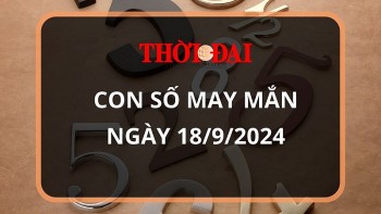 con so may man hom nay 1892024 12 con giap thin phat len nhanh chong