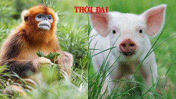 top con giap may man hom nay 1992024 than hoi van trinh vo cung tuoi sang