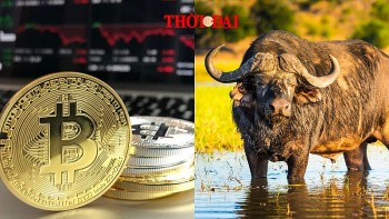 top con giap may man hom nay 2092024 suu tuat duong tai loc khoi vuong