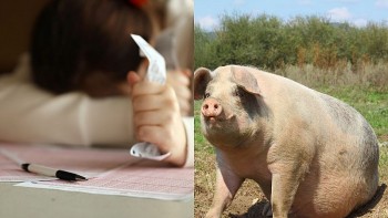 top con giap xui xeo hom nay 2092024 tien bac di xuong ai tinh vo tan