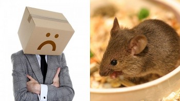 top con giap xui xeo hom nay 1992024 hung tinh giang hoa moi viec khong dau vao dau