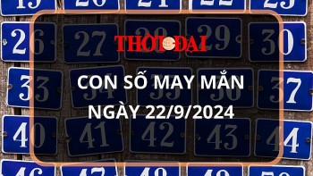 con so may man hom nay 2292024 12 con giap thin tai loc thang tien bat ngo