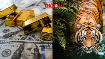 top con giap may man hom nay 2192024 tien bac di len su nghiep thang tien