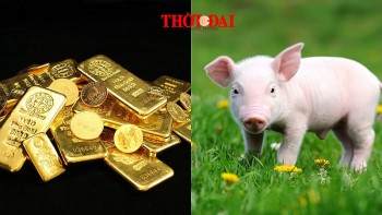 top con giap may man hom nay 2292024 cat tinh nang do tien bac di len dao hoa vuong van