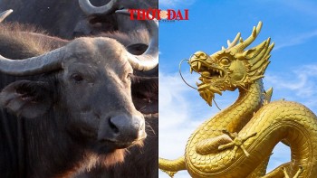 top con giap xui xeo hom nay 2292024 ngay cuoi tuan day bien co