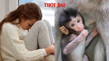 top con giap xui xeo hom nay 2392024 can than loi an tieng noi va hoa tieu nhan