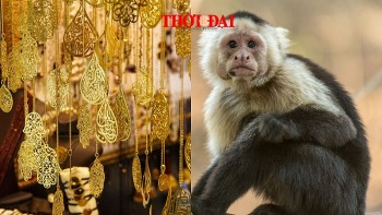 top con giap may man hom nay 2592024 cong danh su nghiep co nhung buoc tien quan trong