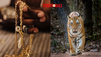 top con giap may man hom nay 2692024 nhieu co hoi thang tien nguoi kinh doanh loc la tran tre