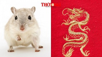 top con giap xui xeo hom nay 2692024 tai loc giam sut tinh cam tieu tan