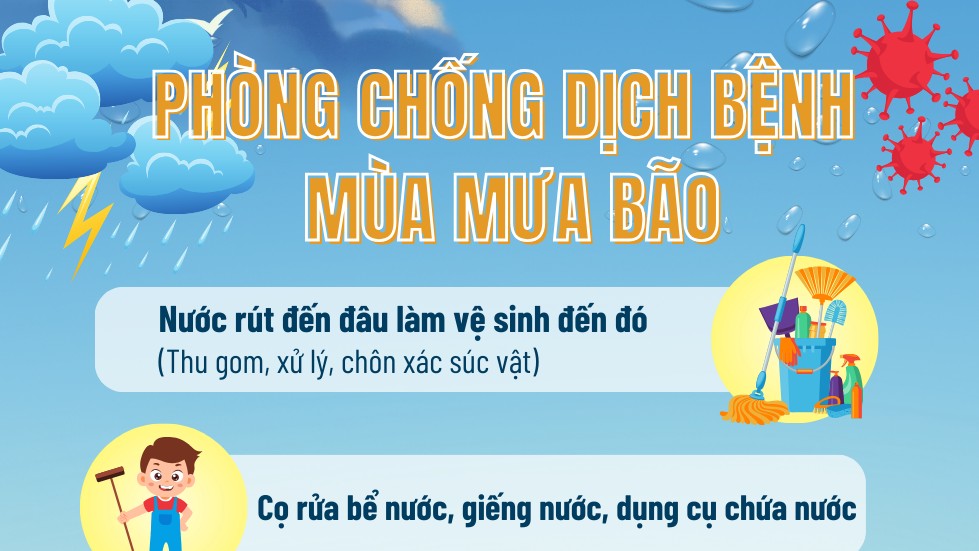 [Inforgraphics] Phòng chống dịch bệnh mùa mưa bão