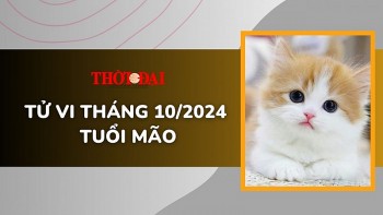 tu vi tuoi mao thang 102024 de gap tro ngai vat va trong cong viec