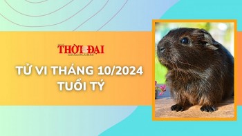 Tử vi tuổi Tý tháng 10/2024: Sự nghiệp hanh thông tình cảm vượng vận