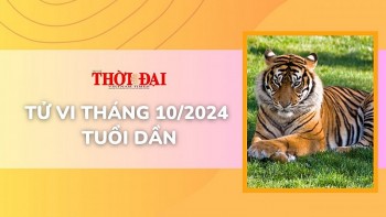 Tử vi tuổi Dần tháng 10/2024: Có tranh chấp, thị phi, kiện tụng