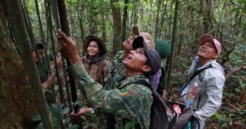 751 chu rung o quang tri duoc huong loi nguon thu tu erpa