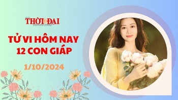 tu vi hom nay 12 con giap 1102024 mui lam kinh doanh co co hoi phat tai