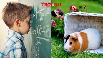 top con giap xui xeo hom nay 1102024 ngay dau thang cang thang nhieu bien co